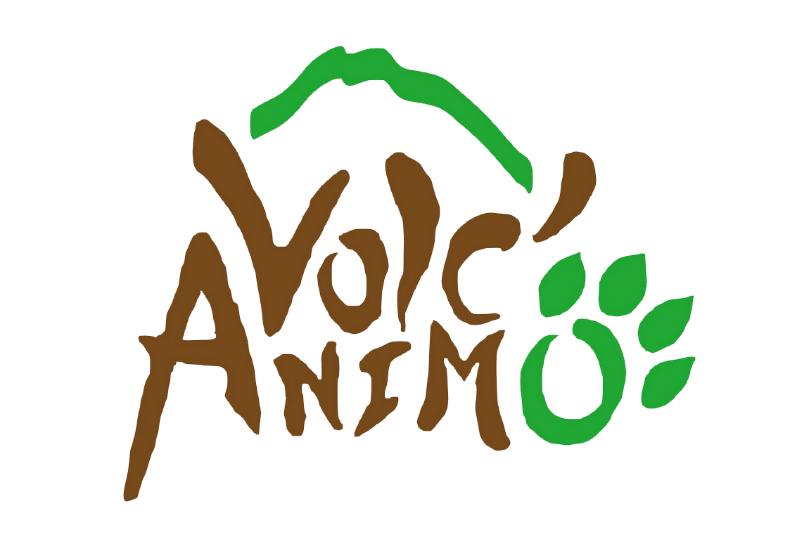 Volc’Animo